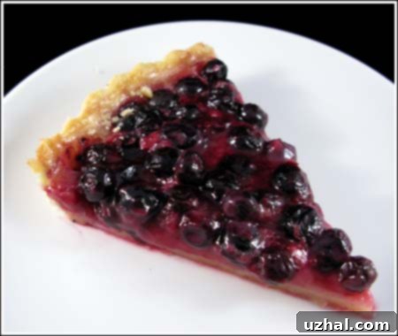 Freshly baked Lemon Blueberry Tart with a golden crust and vibrant berries, ready to be served