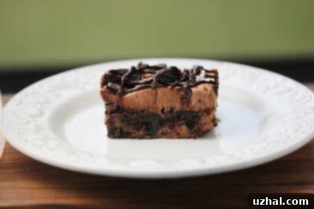 Malted Chocolate Brownie Cheesecake Dream 2 malted milk brownie