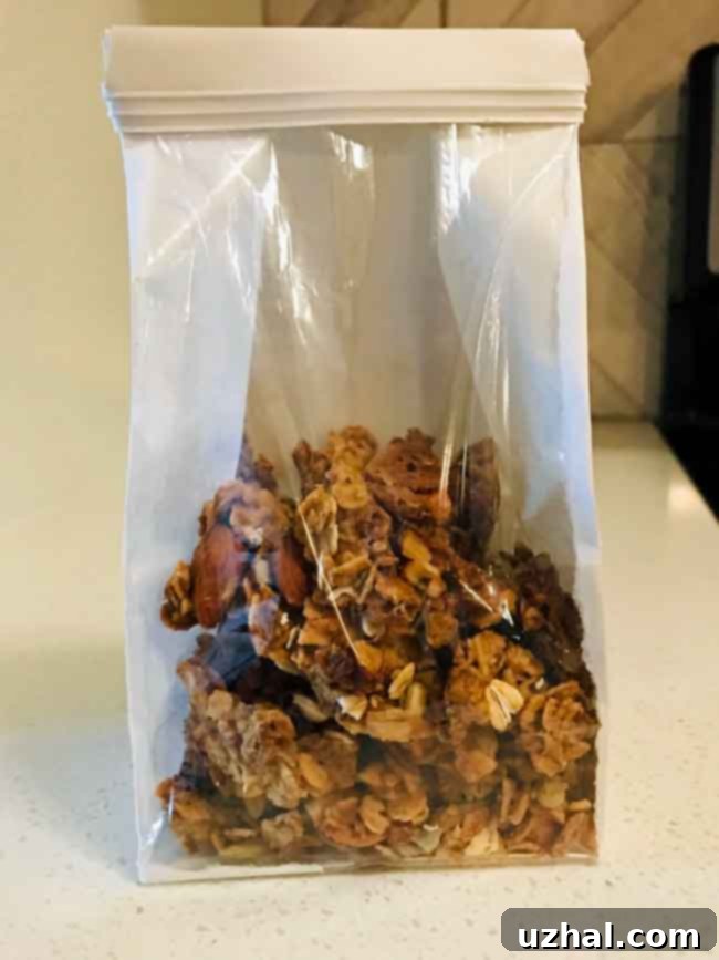 A bowl of extra chunky granola, showcasing large clusters with oats, nuts, and dried fruit