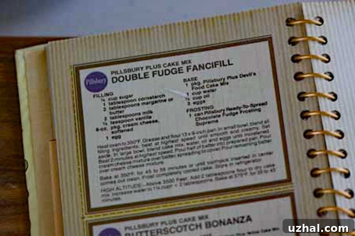 Double Fudge Decadence Cake 3 Double Fudge Fancifull recipe for cake with a cream cheese filling