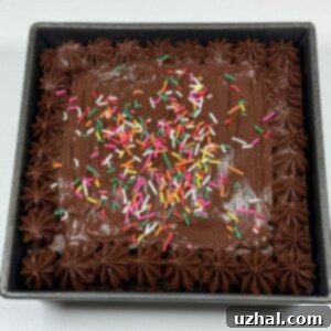 Double Fudge Decadence Cake 4 Double Fudge Fancifill Cake