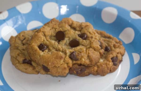 Delicious chocolate chip cookie made with ground granola