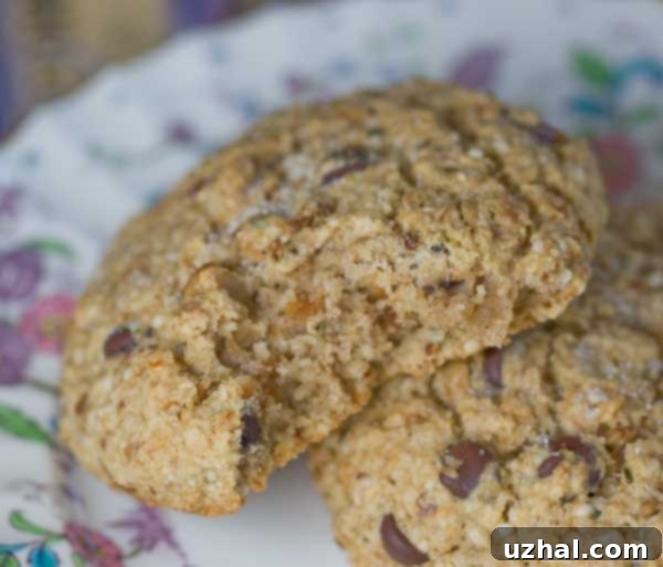 Texture of a freshly baked Not-So-Squirrely Scone