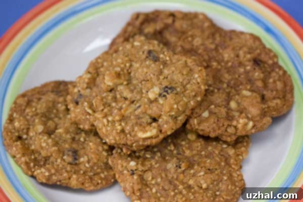 Steel Cut Oat Oatmeal Cookies