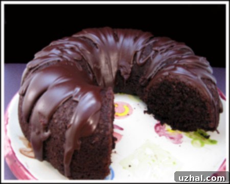 Elegant Chocolate Bundt Cake
