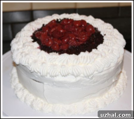 Black Magic Forest Cake with Cherry Filling