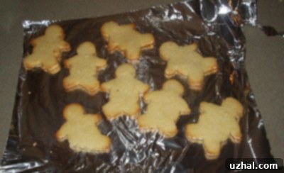 Sweetened coconut flakes, a key ingredient for the cookies.