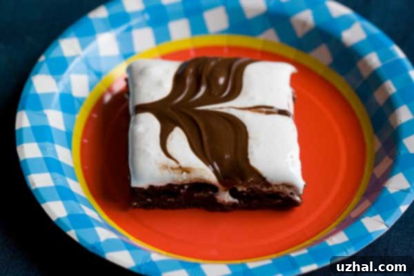 Hazelnut Spread Brownie with marshmallow and chocolate swirl