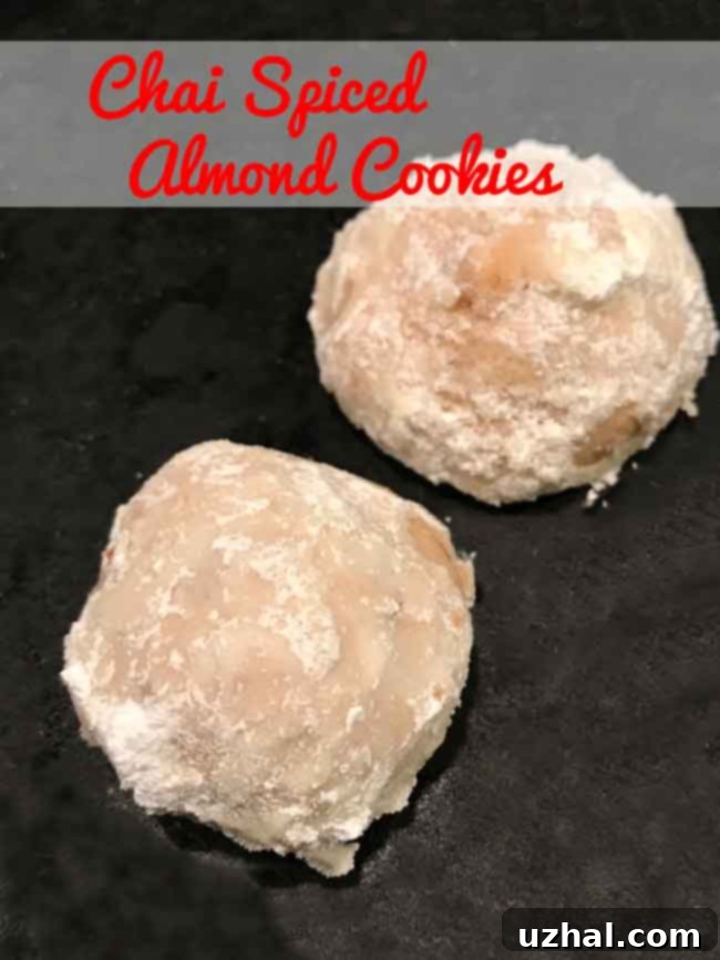 Chai Spiced Almond Cookies, perfectly round and dusted with powdered sugar, ready for the holidays.