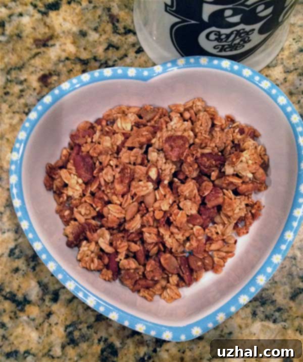Applesauce and Agave Granola