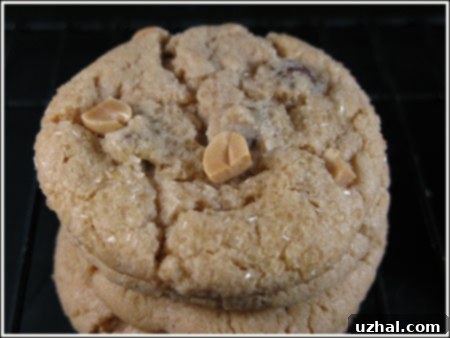 Magnolia Bakery Peanut Butter Cookie - A delicious, slightly flat, homemade treat