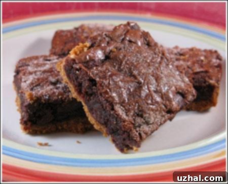 Delicious Mexican Chocolate Crunch Brownies, featuring a spiced chocolate topping and a crunchy cereal crust, perfect for Cinco de Mayo celebrations.