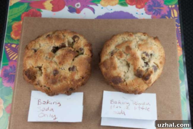 Mini-Batch Levain Chocolate Chip Duplicates 3 Big fat chocolate chip cookie with baking soda only vs. a mix of baking powder and baking soda, showcasing the difference in rise and texture.