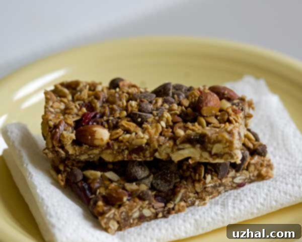 Granola Bars