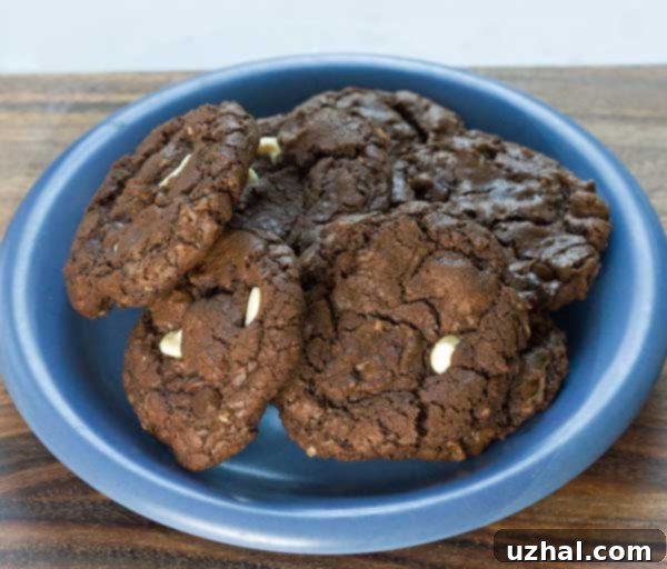 Double Chocolate Chip Coconut Cookies
