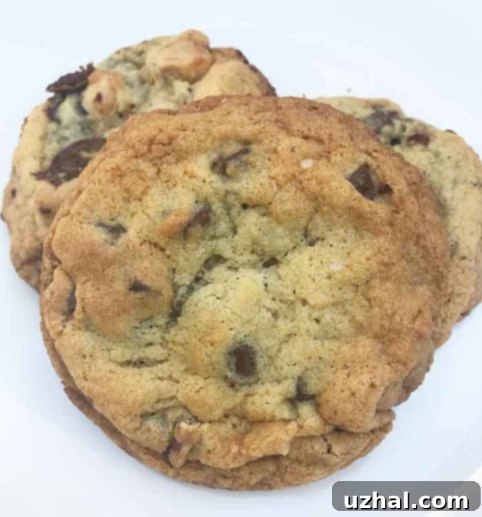 Big Ones are just big chocolate chip cookies.