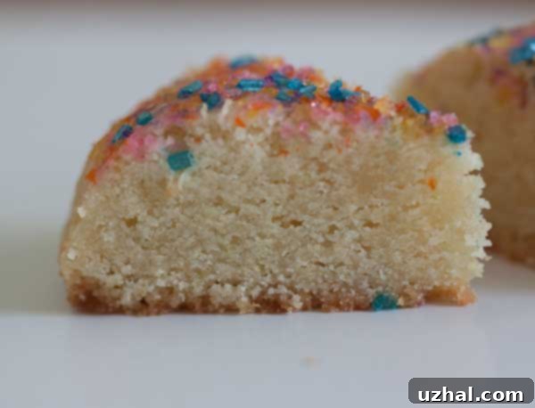Close-up of a giant sugar cookie showing its soft, tender texture and crisp edges, topped with sprinkles.