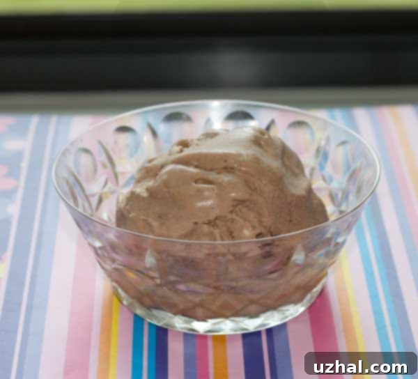 hazelnut joy ice cream