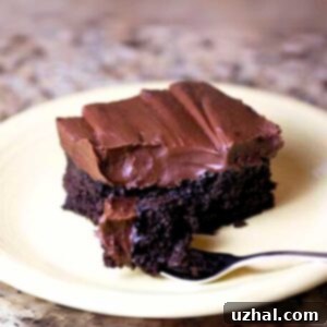 Chocolate Sauerkraut Cake with Sour Cream Frosting.