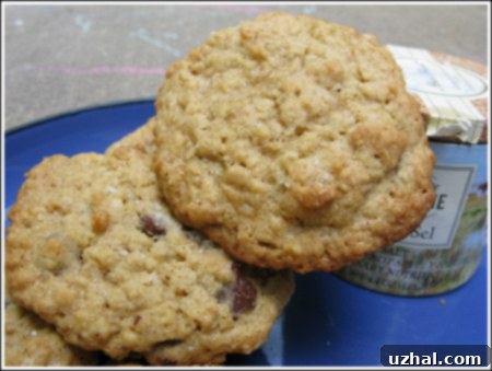 Oatmeal Cookies With Rice Flour