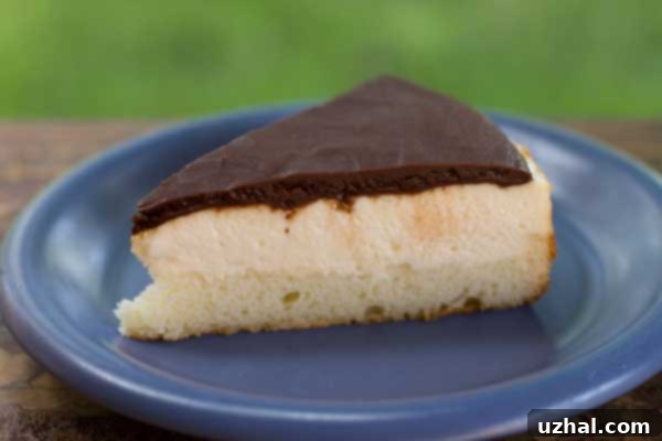 Boston Cream Cheesecake