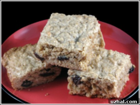 Oatmeal Raisin Bars - Chewy and Delicious Homemade Treat