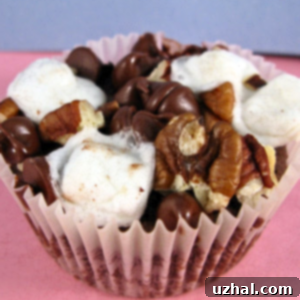 Rocky Road Fudge Brownie Muffins