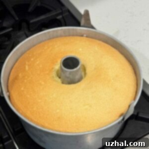 Classic Chiffon Cake, a light and airy dessert perfect for any occasion.