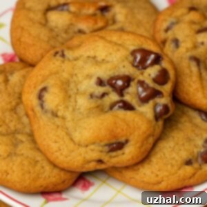 Large Batch Chocolate Chip Cookies with Molasses originally from Roland Mesnier