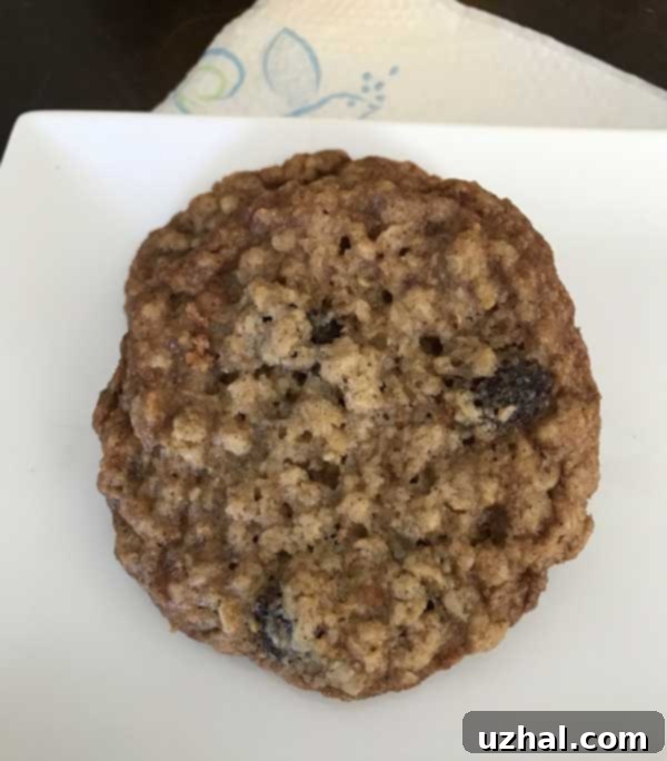 close-up of thin chewy oatmeal cookies with visible oats and raisins