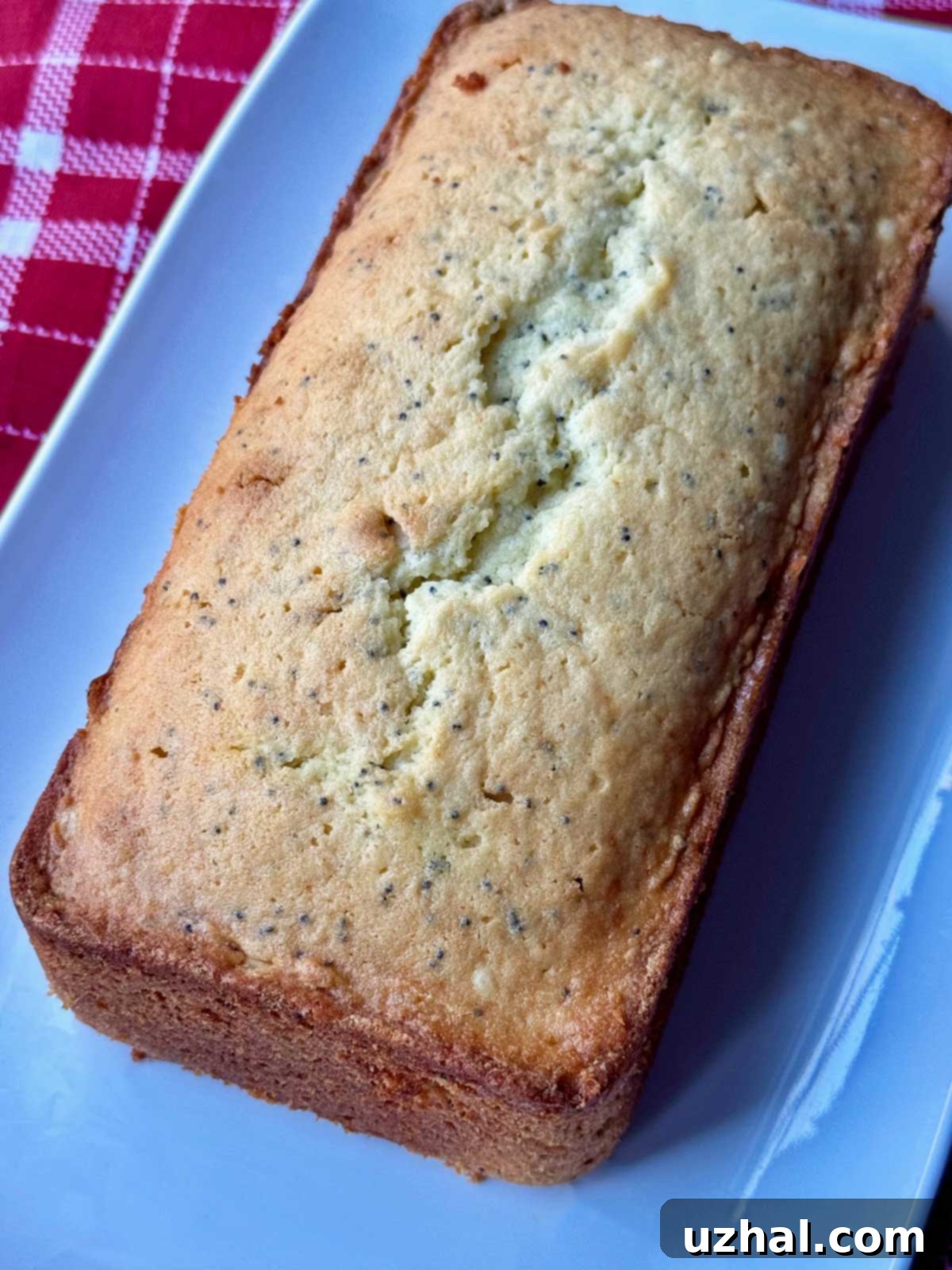 Loaf of lemon yogurt pound cake made with Greek yogurt and White Lily flour