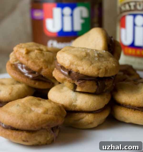 Irresistible Peanut Butter Sandwich Cookies filled with chocolate hazelnut spread