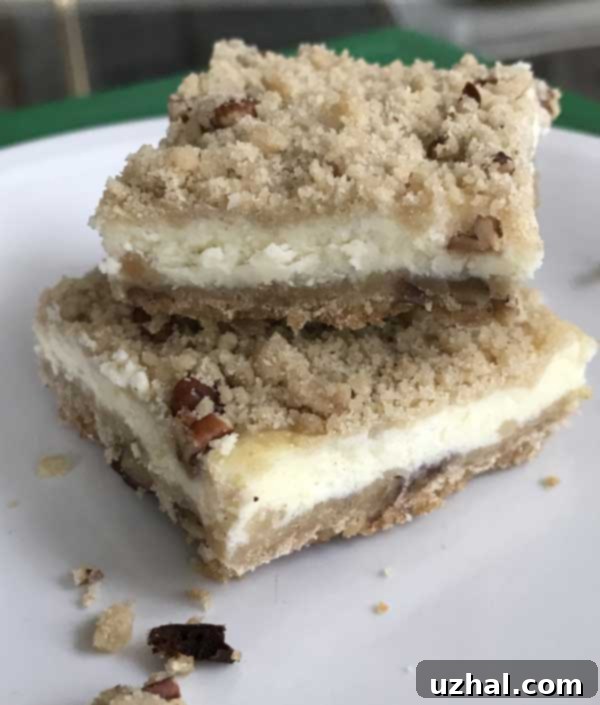 Easy Small Batch Cheesecake Bars 2 Classic Small Batch Cheesecake Bars with a brown sugar shortbread crust, ready to be enjoyed.