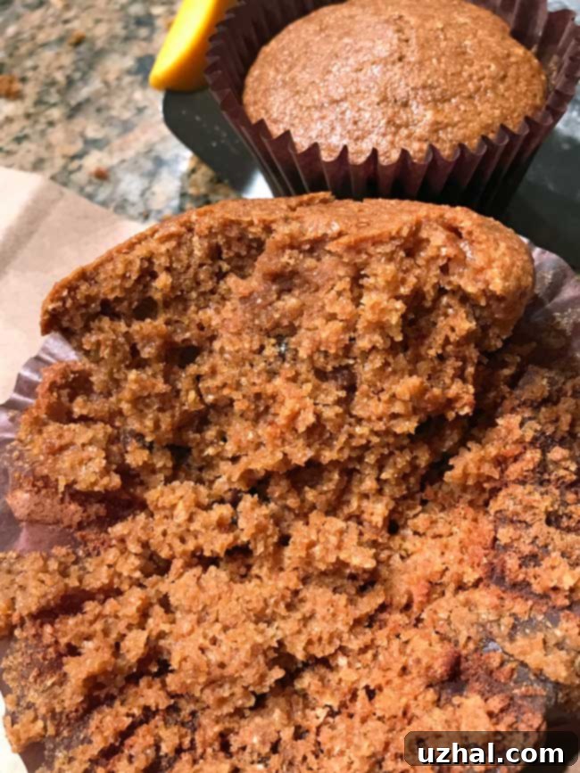Close-up of baked dark bran muffins in paper liners, showcasing their moist texture