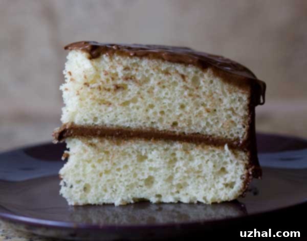 Decadent chocolate syrup frosting beautifully spread on a vibrant yellow cake, highlighting its smooth and glossy texture.