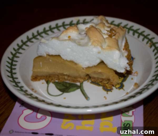 A slice of creamy butterscotch pie topped with golden-brown meringue, perfect for dessert.