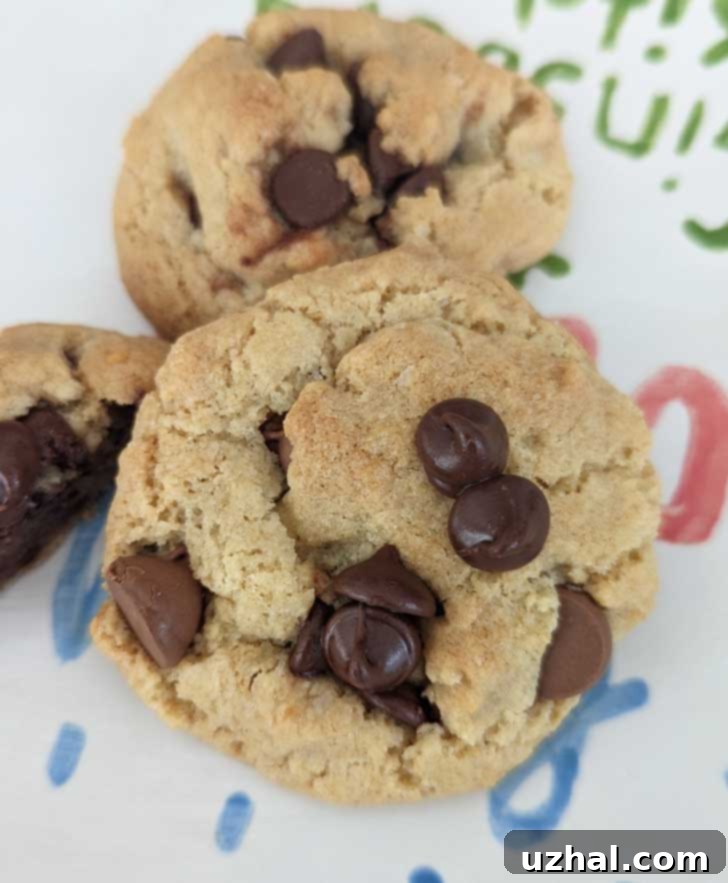 Gluten-Free Saucepan Chocolate Chip Cookies