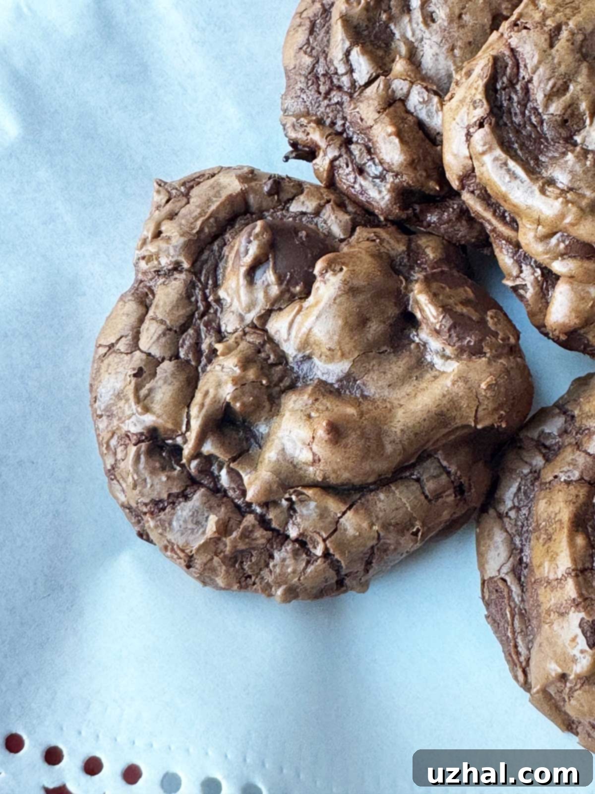 Close-up of a double chocolate mocha cookie with visible chocolate chips, showcasing a rich, fudgy texture.