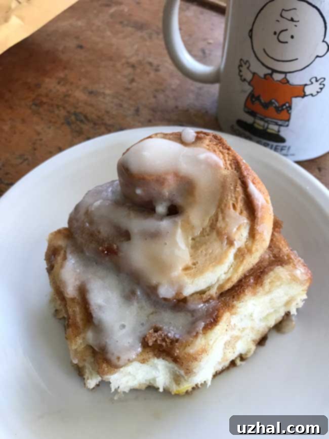 90 MInute Cinnamon Rolls with Instant Yeast
