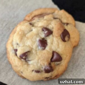Bobby's Flay's Chocolate Chip Cookies recipe, a simple melted butter stir and bake recipe.