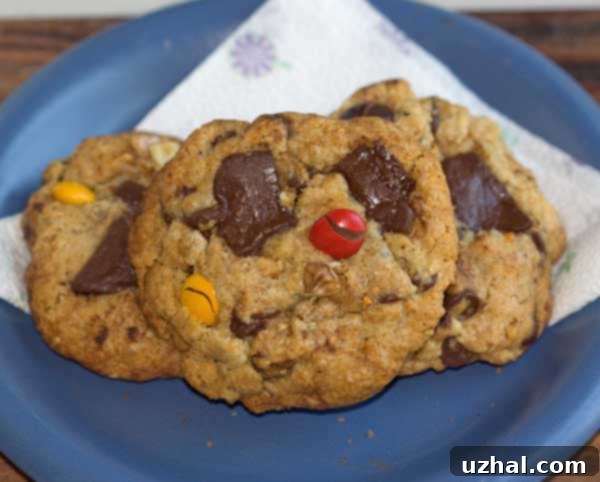 Not the Neiman Marcus Cookie - A close up of a delicious chocolate chip cookie