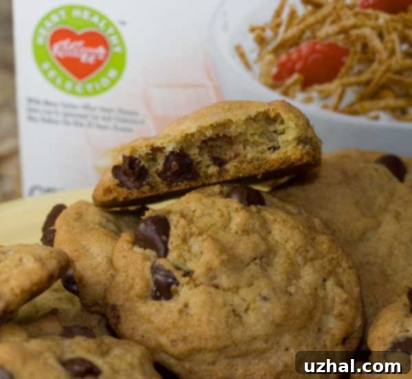 All-Bran Cookie Texture