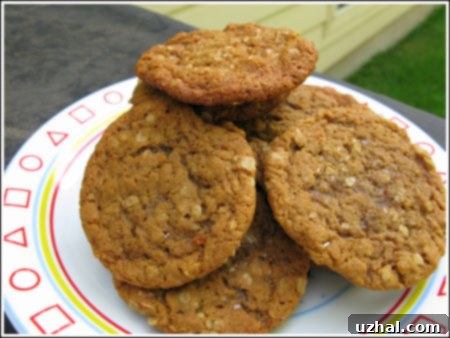 Oatmeal Gingersnaps
