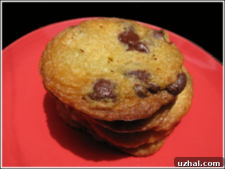 One Bowl Thin & Buttery Chocolate Chip Cookies with chocolate chips