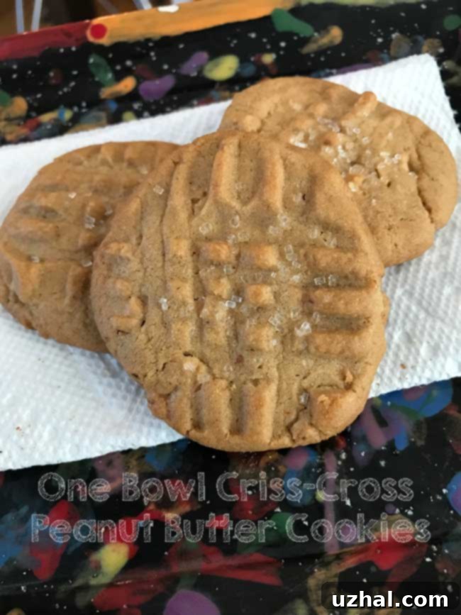 Old fashioned Criss-Cross Peanut Butter Cookies like Grandma used to make.
