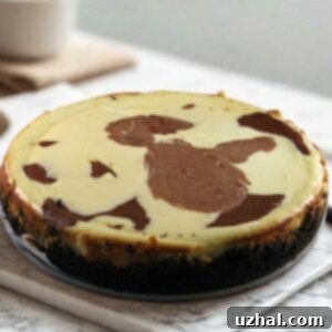 Marbled White Chocolate Cheesecake with dark chocolate swirls on a white plate
