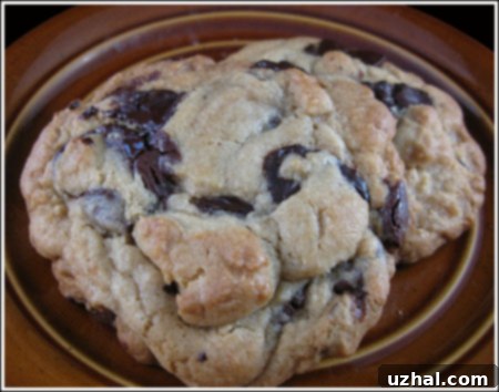New York Times Chocolate Chip Cookie