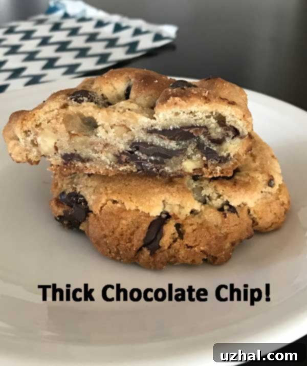 Small Batch New York Times Chocolate Chip Cookie recipe aka the Jacque Torres recipe.