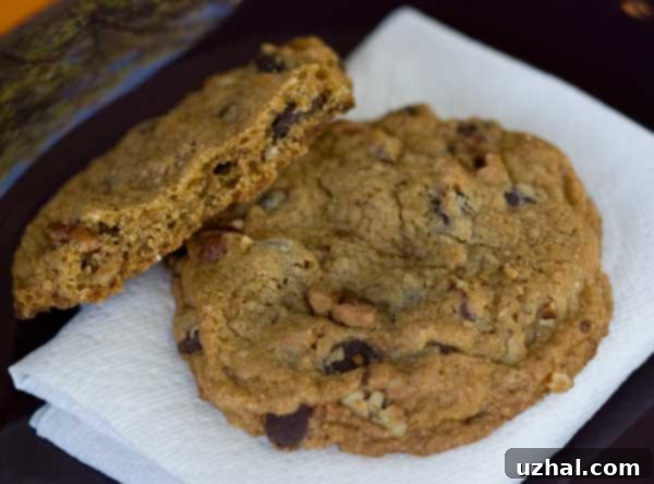 Irresistible Whole Wheat Chocolate Chip Cookies