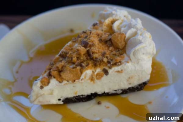 A freshly baked Brownie Bottom Butterfinger Ice Cream Pie with whipped cream and crushed Butterfinger candy on top, ready to be served.